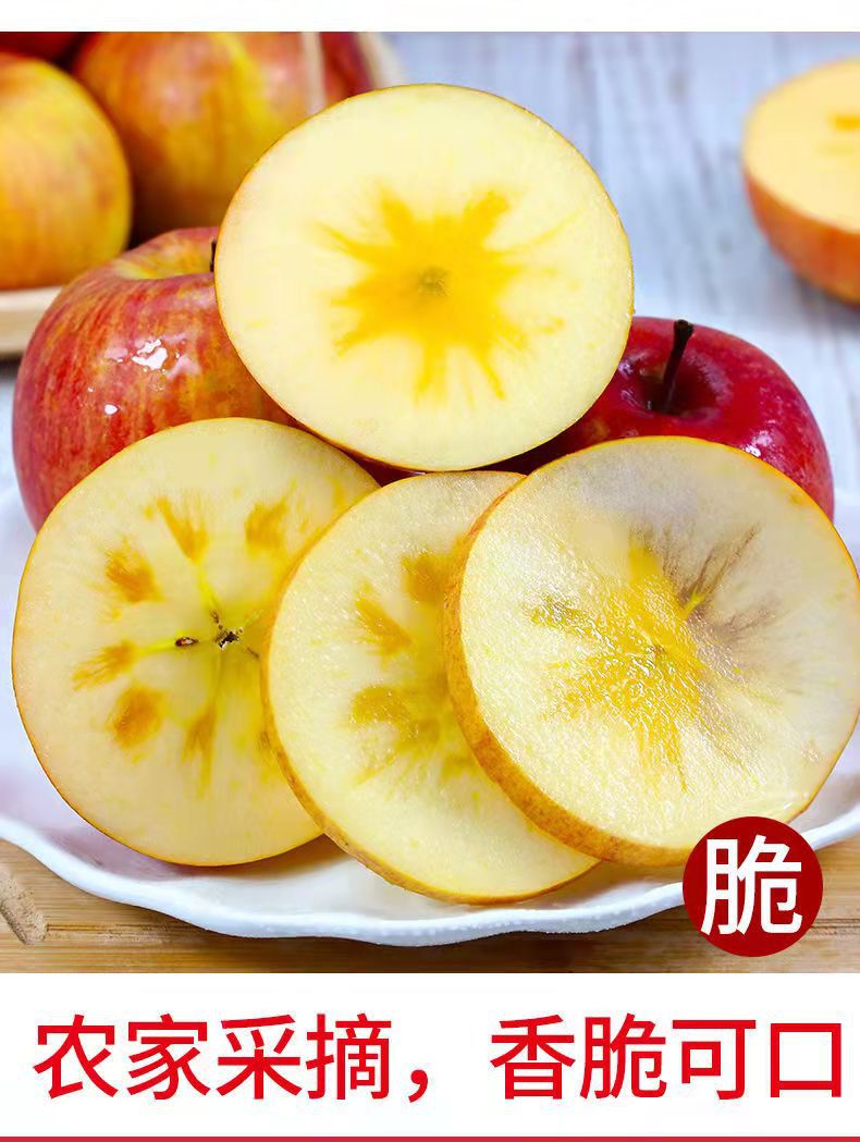 微信图片_202111062048195