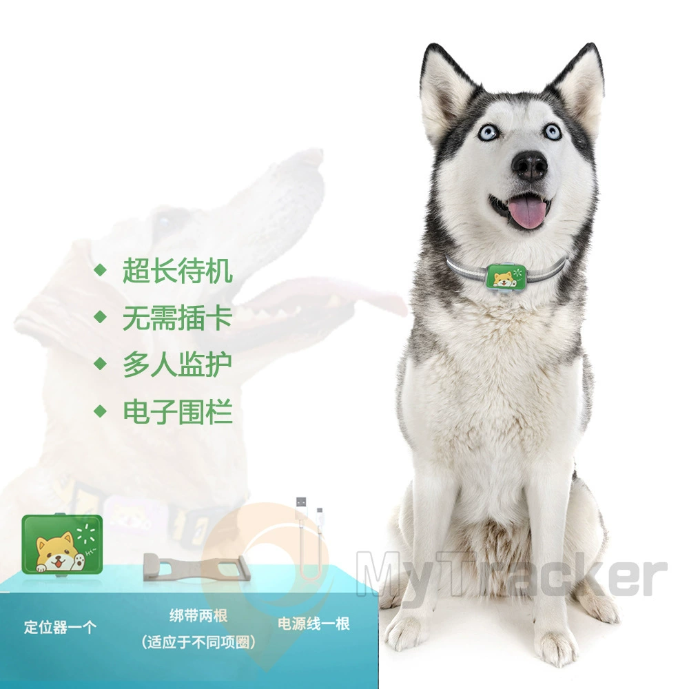 Nb-IOT Pet Locator Кошки и собаки Анти-потерянный GPS-трекинг Мониторинг движения Бесплатная карта Сверхдлительный режим ожидания 30 дней