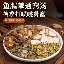 鱼腥草流鼻涕通窍金银花鼻子白芷汤换季通畅打喷嚏花薄荷塞辛夷