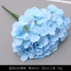 5 Hydrangea-Blue
