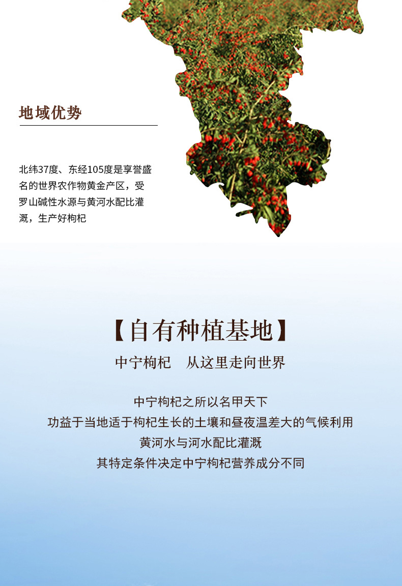 Ningxia Goji Berries Dried Wolfberry Fruit Gou Qi Zi Ready to Eat 250g Bag quality and texture