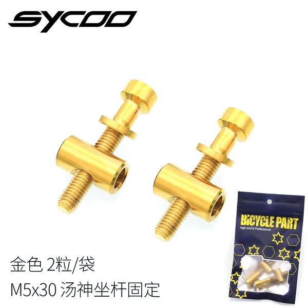 M5x30 gold