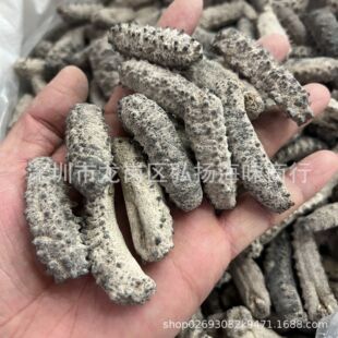 ������ �Űͅ�����ī�����ㅢ������������̅����ɺ�����؛