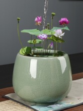 哥窑碗莲水培花盆陶瓷大小号无孔家用桌面阳台水养器皿微睡D&