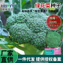 �G���˷N�����m���N��Ҭ�����{���໨���ͺ��G���߲˷N���ļ��ɷN