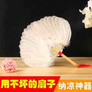 ���������y��ë���T��������ë�ȼ������Ȍ����Ї��L�냺�Zë��