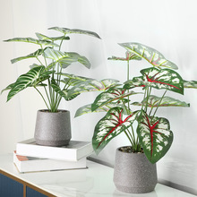 ��ˮ�����Gֲ�辰�پGֲ������؎��軨�ܔ[�����[�҃ȿ͏d�b�