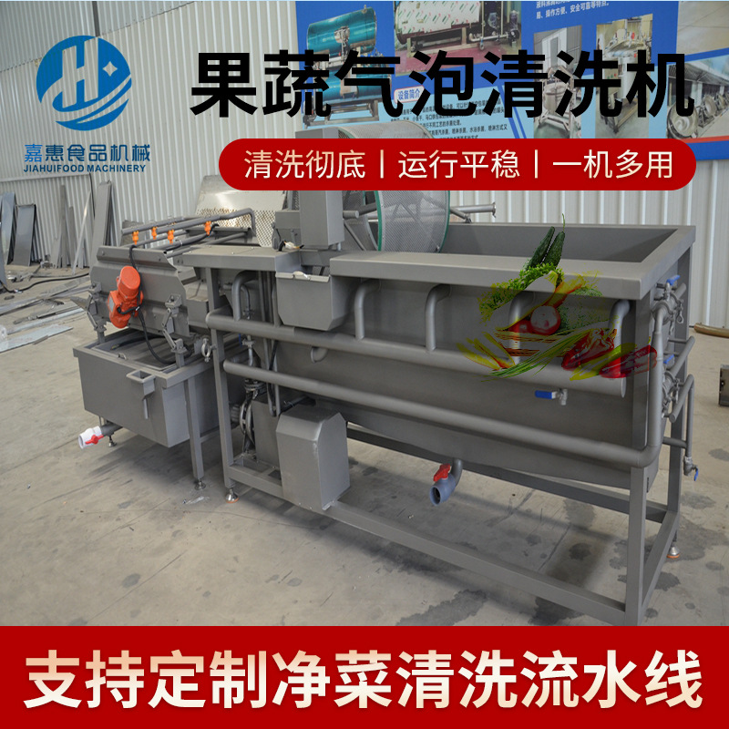 果蔬涡流气泡清洗机 推荐  连续式中药才清洗线 涡流蔬菜清洗机设