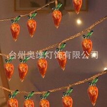 新款LED萝卜灯串配件装饰植物仿真配件圣诞工艺品塑料挂件led彩灯