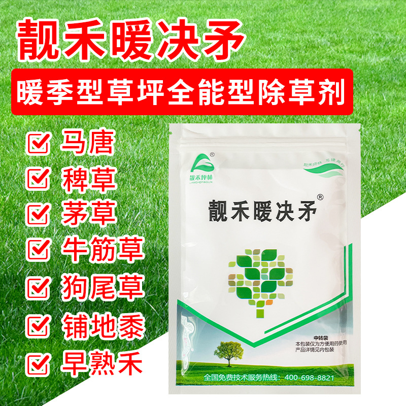 靓禾暖决矛草坪杂草除草剂百慕大马尼拉除茅草马唐牛筋草狗尾草药