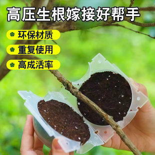 ֲ��߉���ֳ�пظ���Ǥ��޽Ӹ߉���������֦��ֳ��������ֳ����