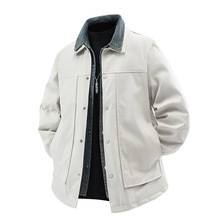 跨境批发新款假俩件白鸭绒户外休闲抗皱羽绒服翻领上衣冬季男士