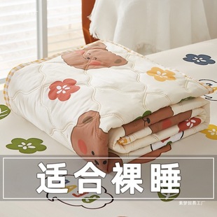 Air-Conditioned Quilt, Summer Cool Quilt, Machine Washable Kidsren's Summer Quilt, Student Dormitory Single Quilt, 2025 New Non-Pure Cotton Quilt