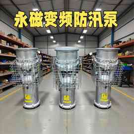 永磁变频防汛泵 大流量便携式永磁潜水泵 排涝抽水永磁变频泵