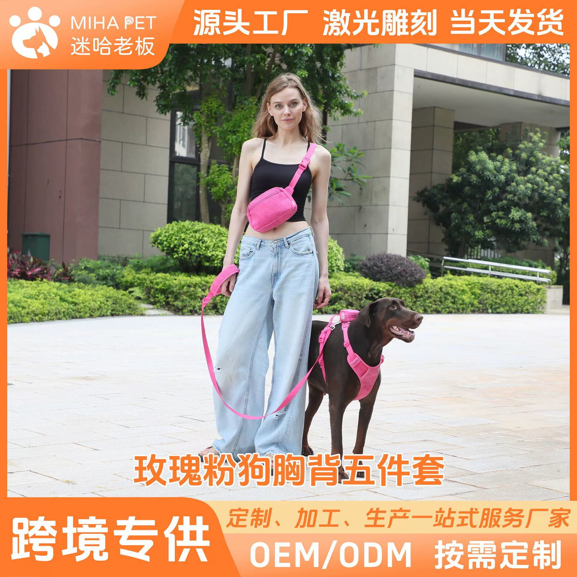 Новый розовый вельвет Собака Грудь ремень костюм цельный доставка через границу Горячая продажа ошейник животное надписи