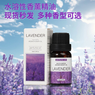 ����Ȼֲ����޹���������l���g܇�d��޹���·ҷ�10�������Ϳ羳