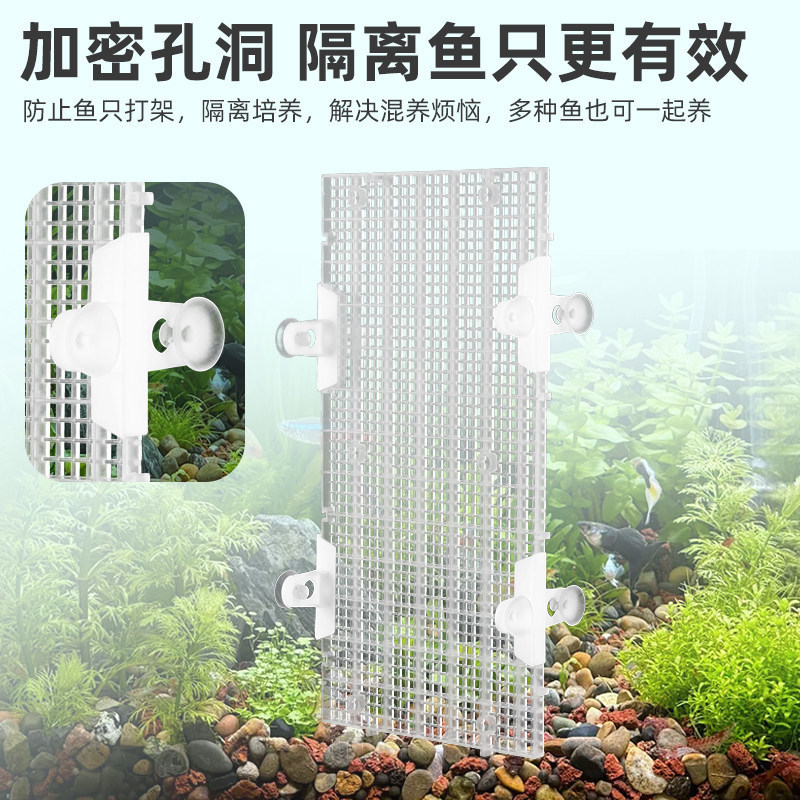 Reinforced fish tank bottom filter plate, pad, cover, thickened grid plate, turtle tank bottom filter partition, isolation board, aquascape isolation board