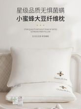 ^һС۷wSoi׵˯߾Ƶоȫ޵