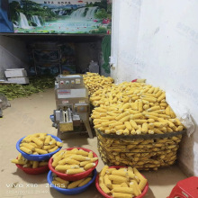 鲜玉米撕皮脱粒机 大型电动全自动组合水果玉米刨粒机取粒剥粒机