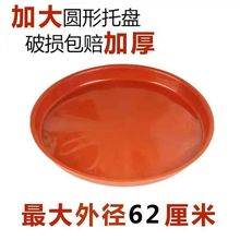 �Ӵ�Ӻ��̖�A�����ϻ���Gֲ�бP�������ô��;Gֲ��ˮ�P���|