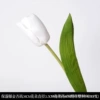 Moisturizing Tulip White