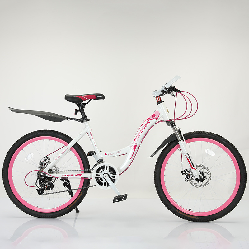 24inch Student Gear Shift Mountain Bike 24-Speed Outdoor Sports Bike Youth Road Bike Adult Bicycle Dual Disc Brake