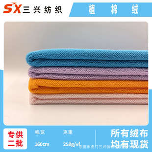 ֲ�޽q ���޽q�Ứ���� �����w���q ���b��ߌ���Cɳ�l��������