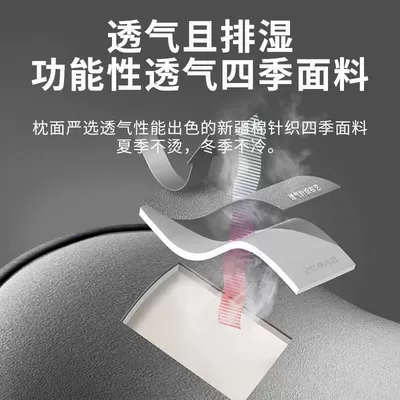Qashqai Jinke Teana car memory — Headrest