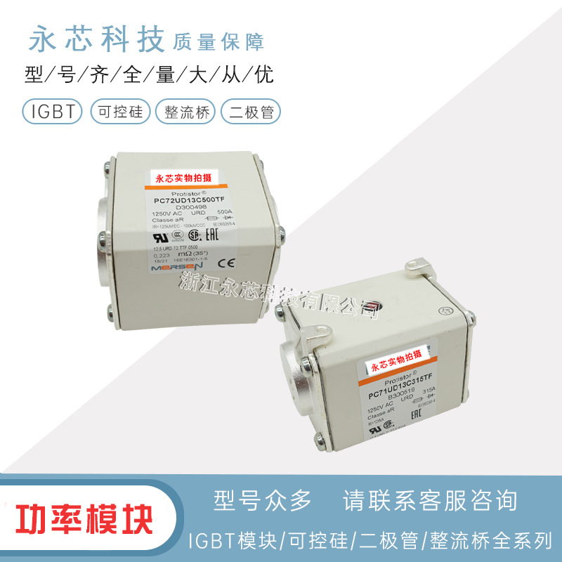 快速双连体熔断器保险丝PC72GB69V450PA	L301264全新原装品质保证