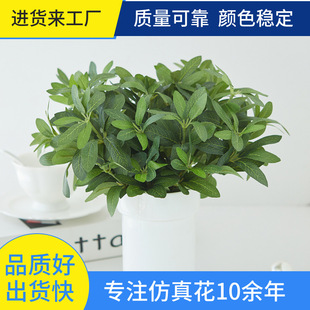 ����Gֲ�_�h��С֦�ϙ��~���滨�辰�Gֲ�ٻ����~���������l����