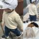 [in stock boys' sweater year autumn and winter new small and medium-sized children's lapel sweater top boy baby inside children's clothing