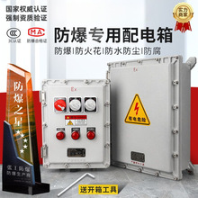 防爆配电箱电箱空箱接线箱控制箱检修箱防爆照明配电箱厂家直销免