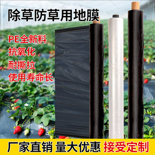 Li Jian's new black film anti-grass film weeding black orchard agricultural film vegetable plastic film thickening insulation