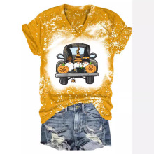 2024�ļ�ŷ���¿�3D����ӡ������ʥ��С����ϵ��ŮʿV��T��170g