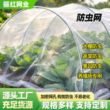 大棚防虫网农用养殖网蔬菜网蝗虫果树果园网防鸟网尼龙网加密加厚