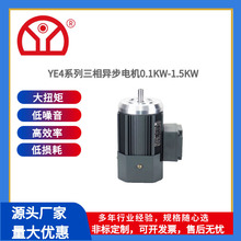 YE4高效率三相异步电动机380V大功率铜芯卧立式二级能效电机厂家