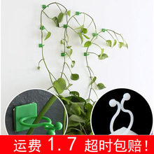 �G�}�̶�������ֲ��Gֲ�������������h늾��̶����������͹̶��A