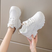 �ɸ����eСЬ���＾����ٴ����\��Ь������2026�¿�С���ӷ���