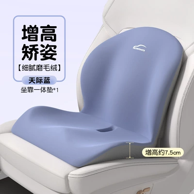 Waist support: Students Who Sit for Long Periods of Time Without - seat-cushion-i-697797ab-sky-blue