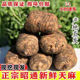 �����ͨ���r����Ұ��С�݉Ξ�����������F�ݸ�