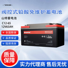 山特蓄电池C12-65 密封阀控式铅酸电池12V65AH 机房UPS电源设备用