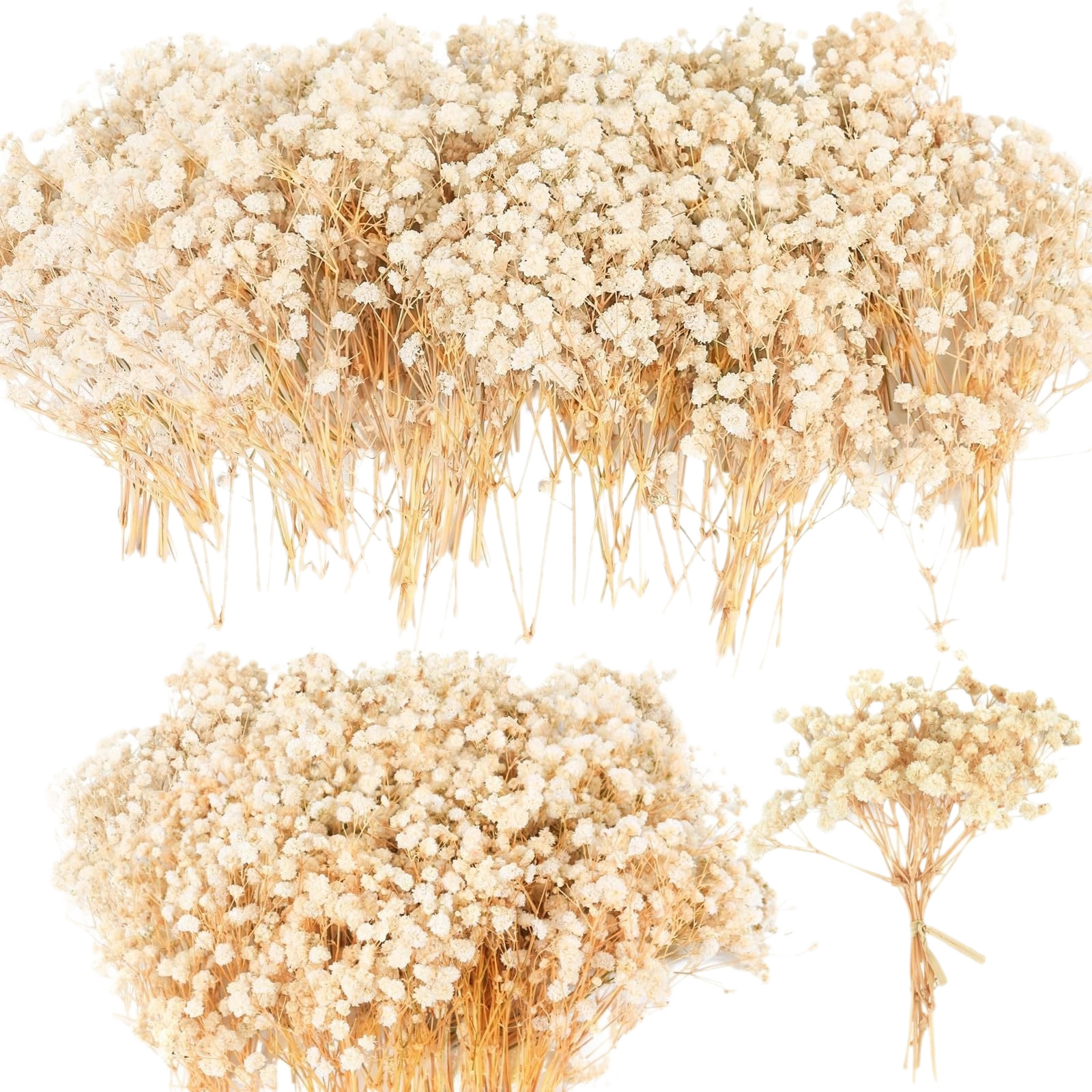 Everlasting Mini Baby's Breath Bulk Short Stems DIY Flower Materials Baby's Breath Flower Heads Dried Flowers Everlasting Flowers Cross-Border Shipping
