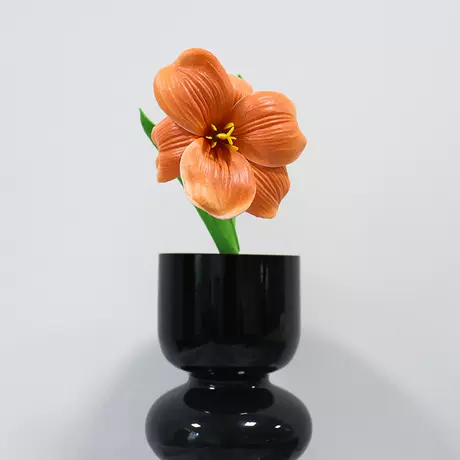 Brown Brownie Tulip
