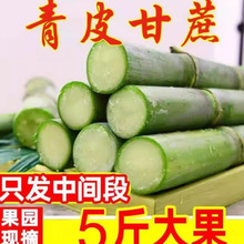 ��ɽ����F؛��Ƥ�GƤ������ݮaˮ������������