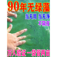 鱼塘除藻剂鱼池除绿水清除剂青苔一次净蓝藻分解素酶灭除绿藻克星