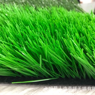 [CCOG Artificial Lawn] Manufacturers in stock Football Grass Diamond Simulation Lawn Sports Field Monofilament