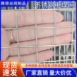 304焊接网建筑防裂抹灰网阳台防鼠果园围网不锈钢电焊网防护网