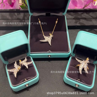 �W���羳���lT��ĸ�pʯ���B�����B�M���С�w�B����i� �F؛