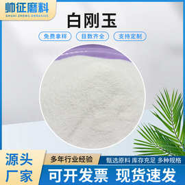 厂家白刚玉80目抛光喷砂用白刚玉 酸洗白刚玉号砂配重铁砂白刚玉