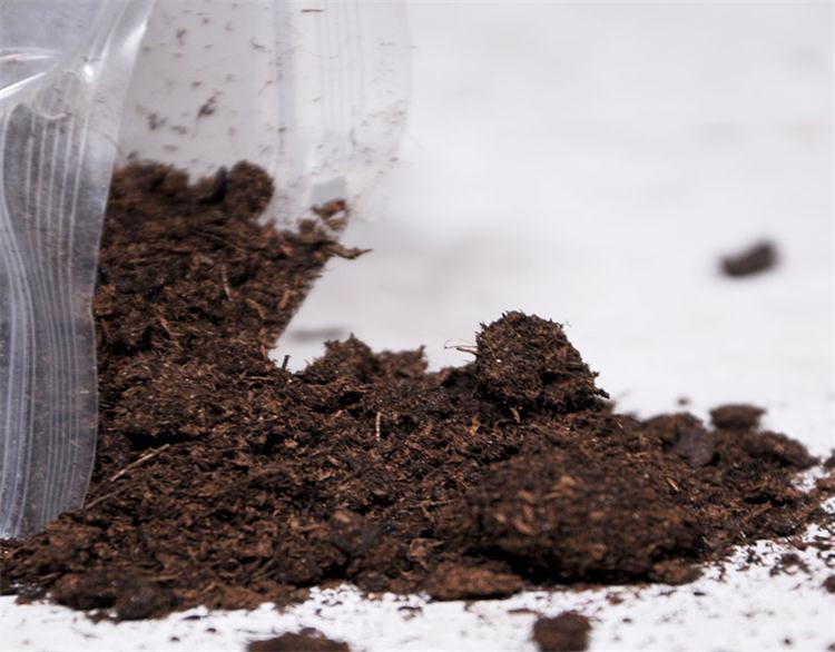 苗育成用特殊培地、温室栽培植物用、肥沃で保水性のある緑色植物用鉱質土を供給します|undefined